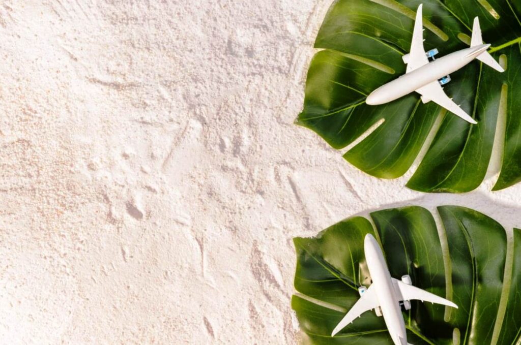 toy planes on monstera leaves free photo 2